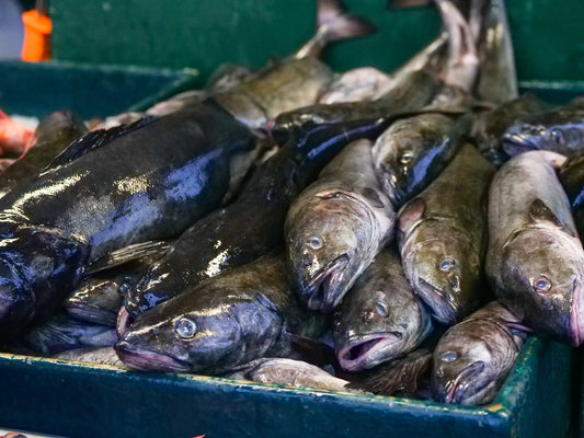 PFAS in je eten? Dit moet je weten