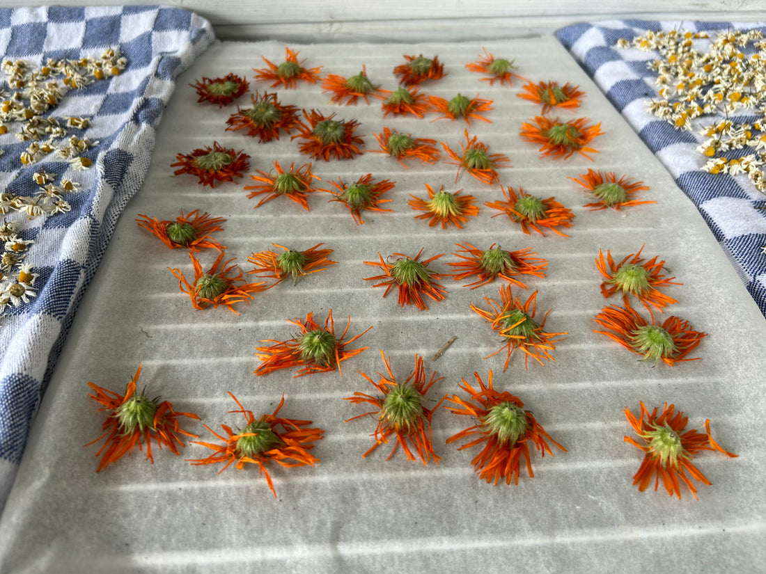 Zelf calendula olie maken
