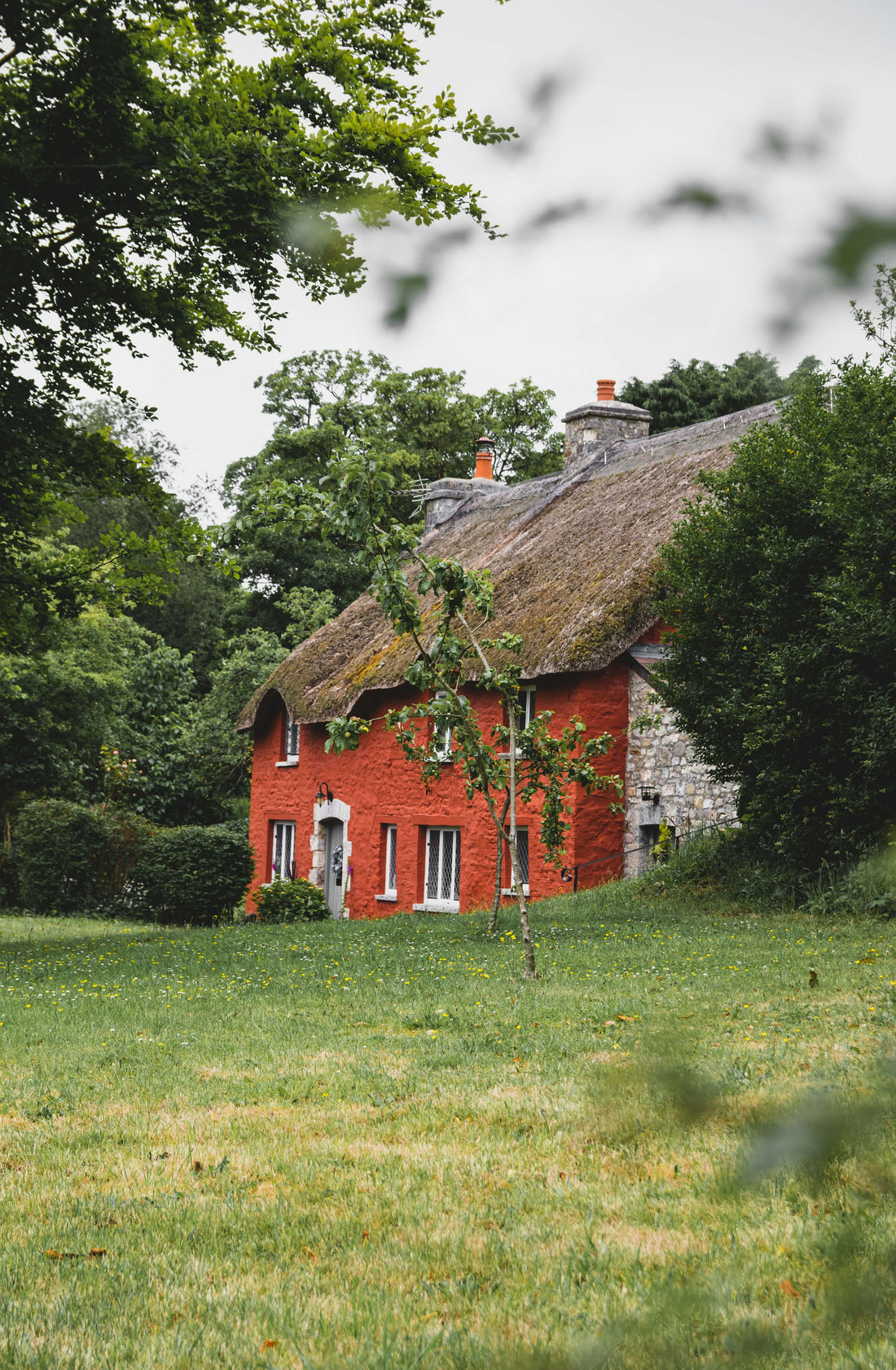 Een gifvrij huis: waar moet je beginnen?