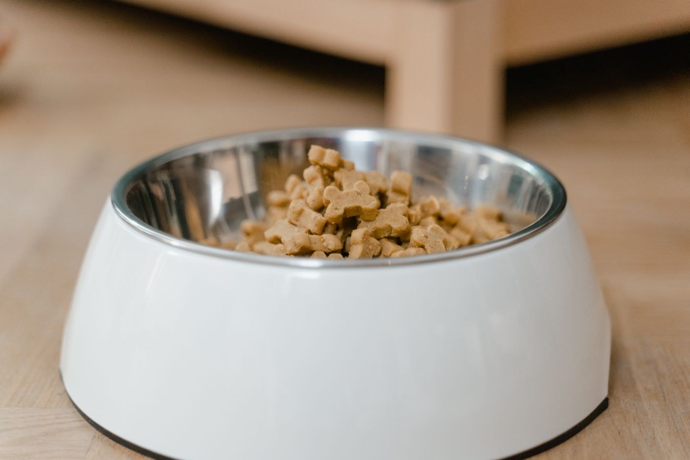 A pet feeding bowl with a stainless steel interior